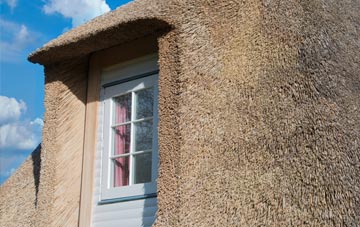Lower Yelland thatch roof disadvantages