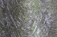 Lower Yelland fibreglass roof work